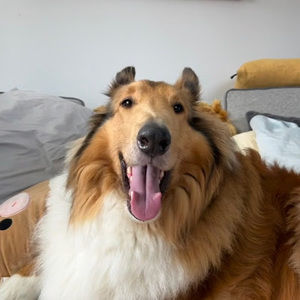 Meet your Posher, Ashling